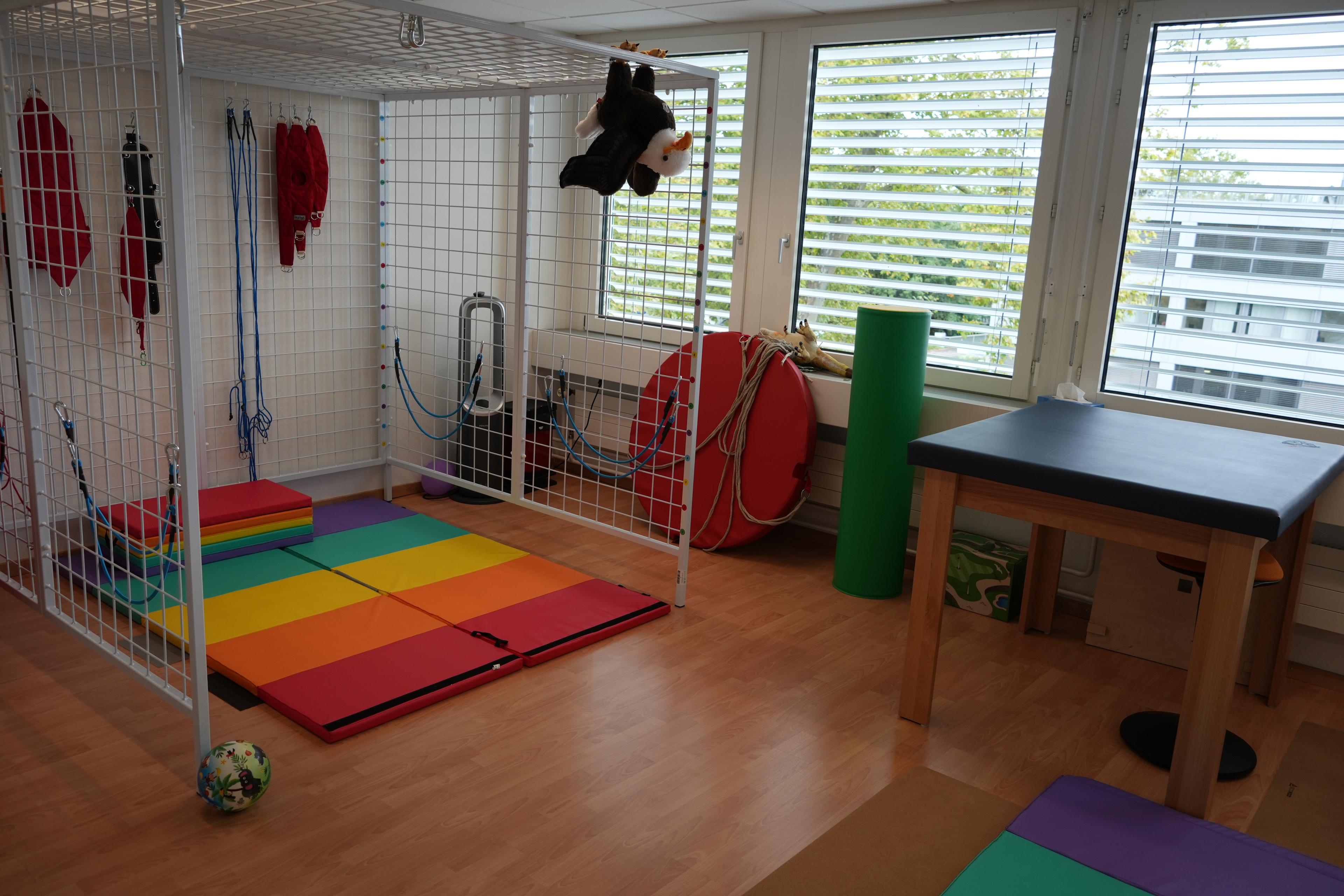 The Spidercage suspension rig with rainbow mats and PediaSuit hookup